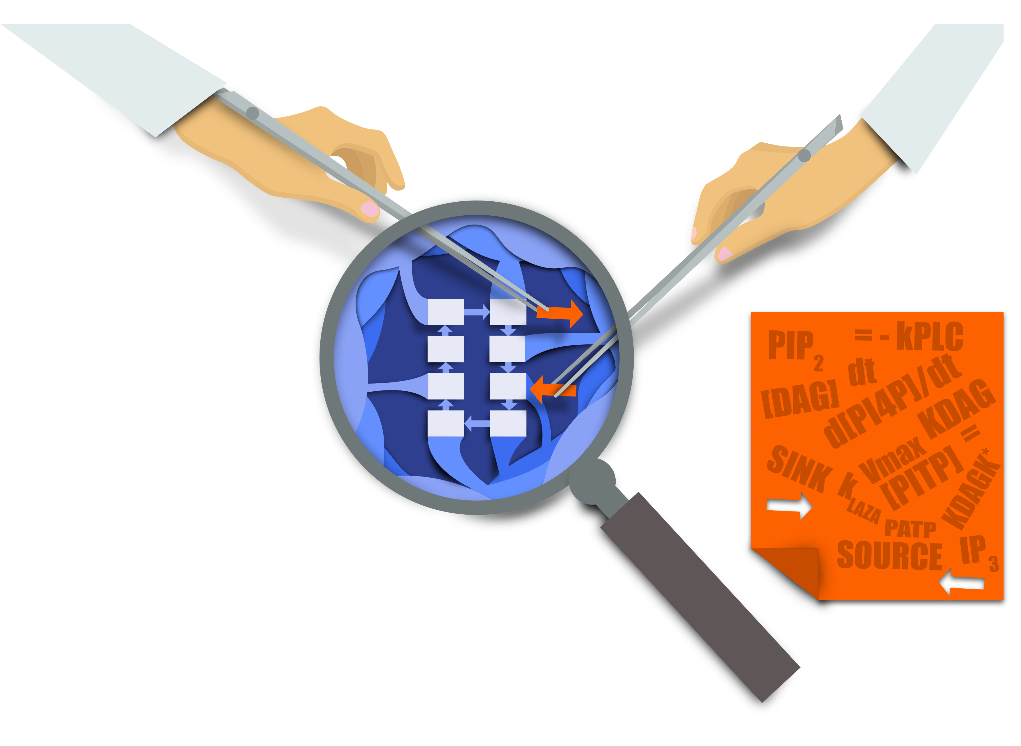 An illustration of two gloved hands using tweezers on a pathway diagram under a magnifying glass, next to an orange sheet of equations and lipid names.