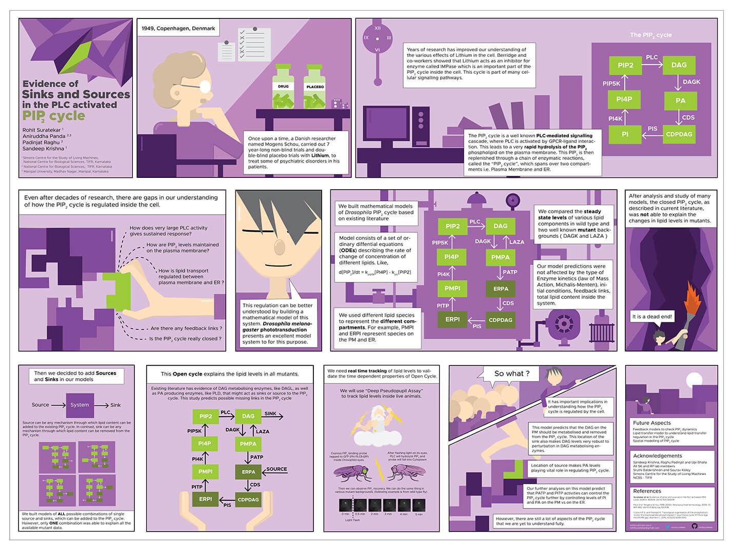A purple comic-style scientific poster titled Evidence of Sinks and Sources in the PLC activated PIP2 cycle, with illustrated panels and pathway diagrams.
